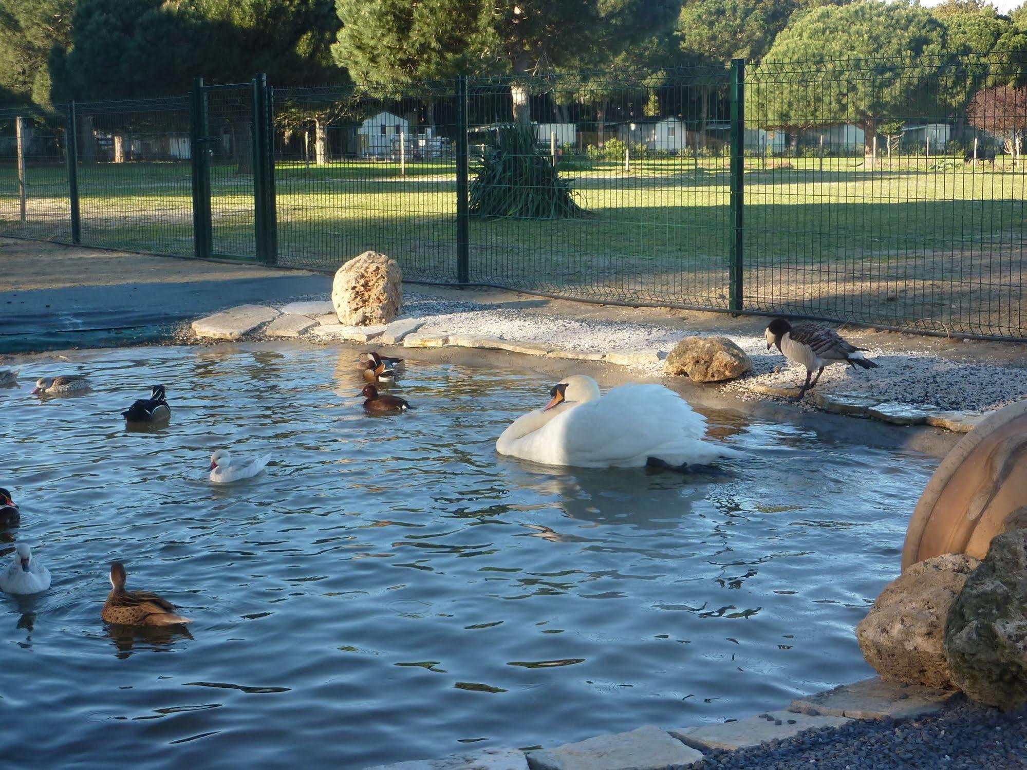 Camping Le Sainte Marie Esterno foto